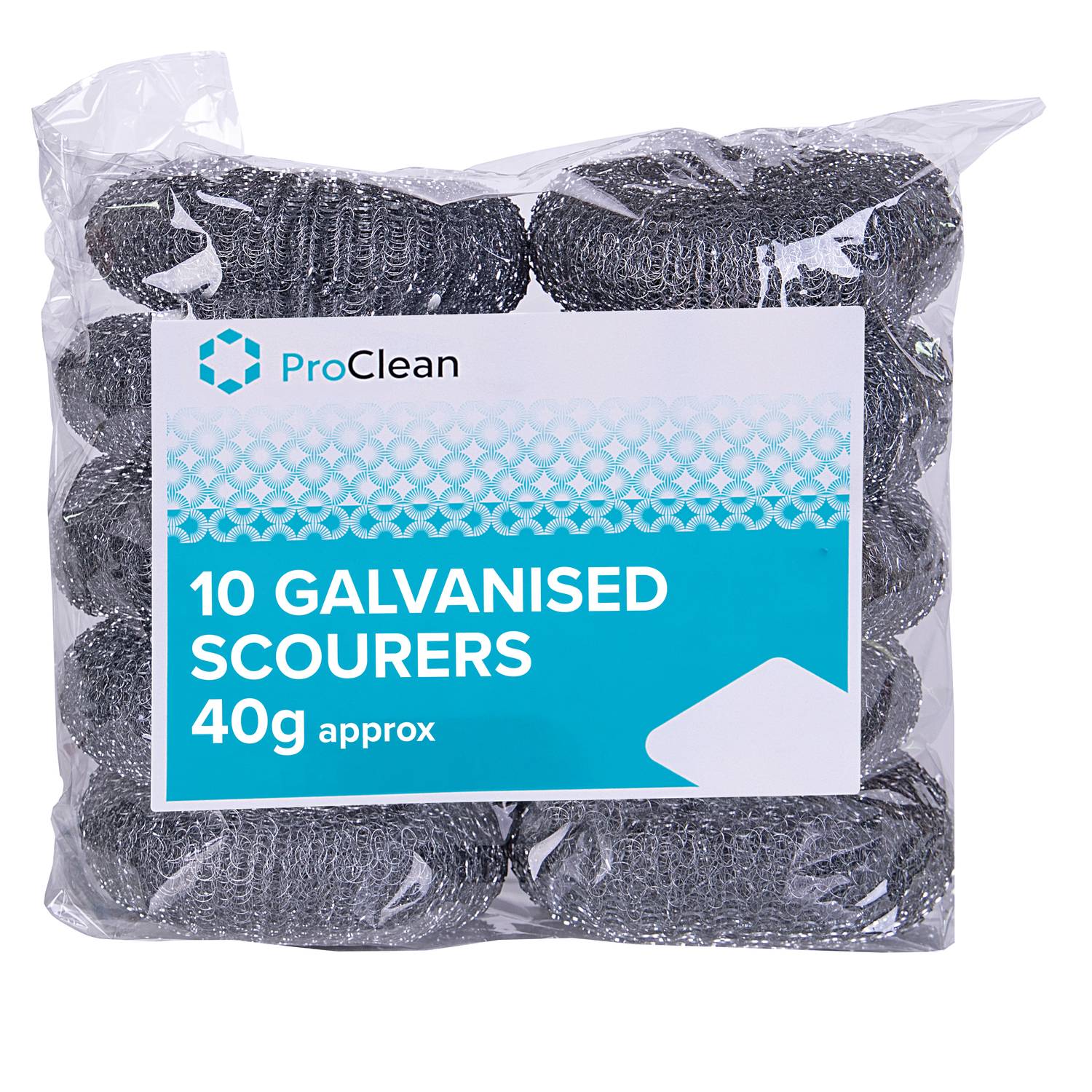 ProClean 10 Galvanished Scourer (40g) (20 x 10)