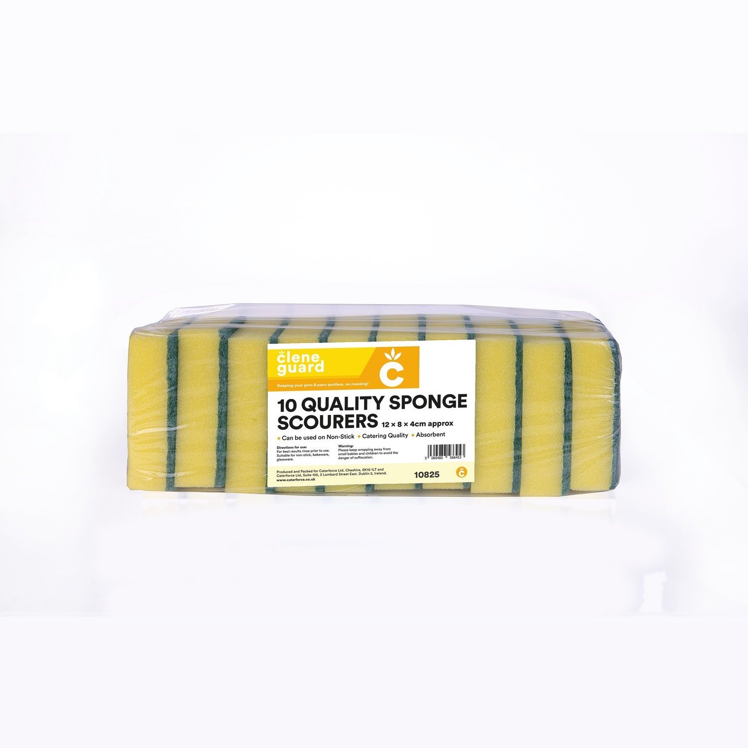 Clene Guard Basic Sponge Scourer (20 x 10)